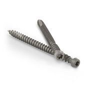 STARBORN Deck Screw, #10 x 2-3/4 in, Flat Head, Torx Drive, 375 PK PXDCBT10275